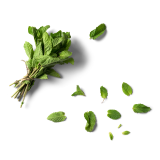 gallery/untitled-1artboard-1-copy-11